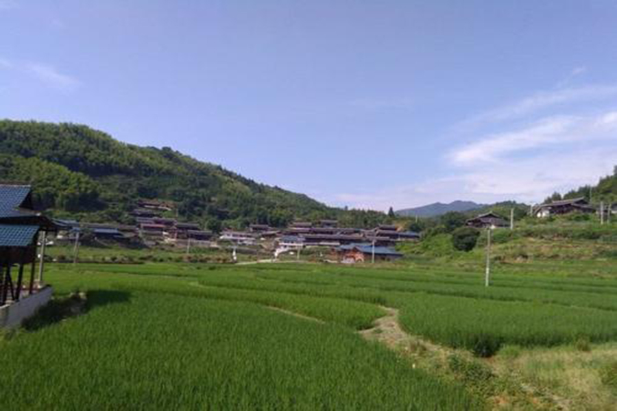 永利yl23411